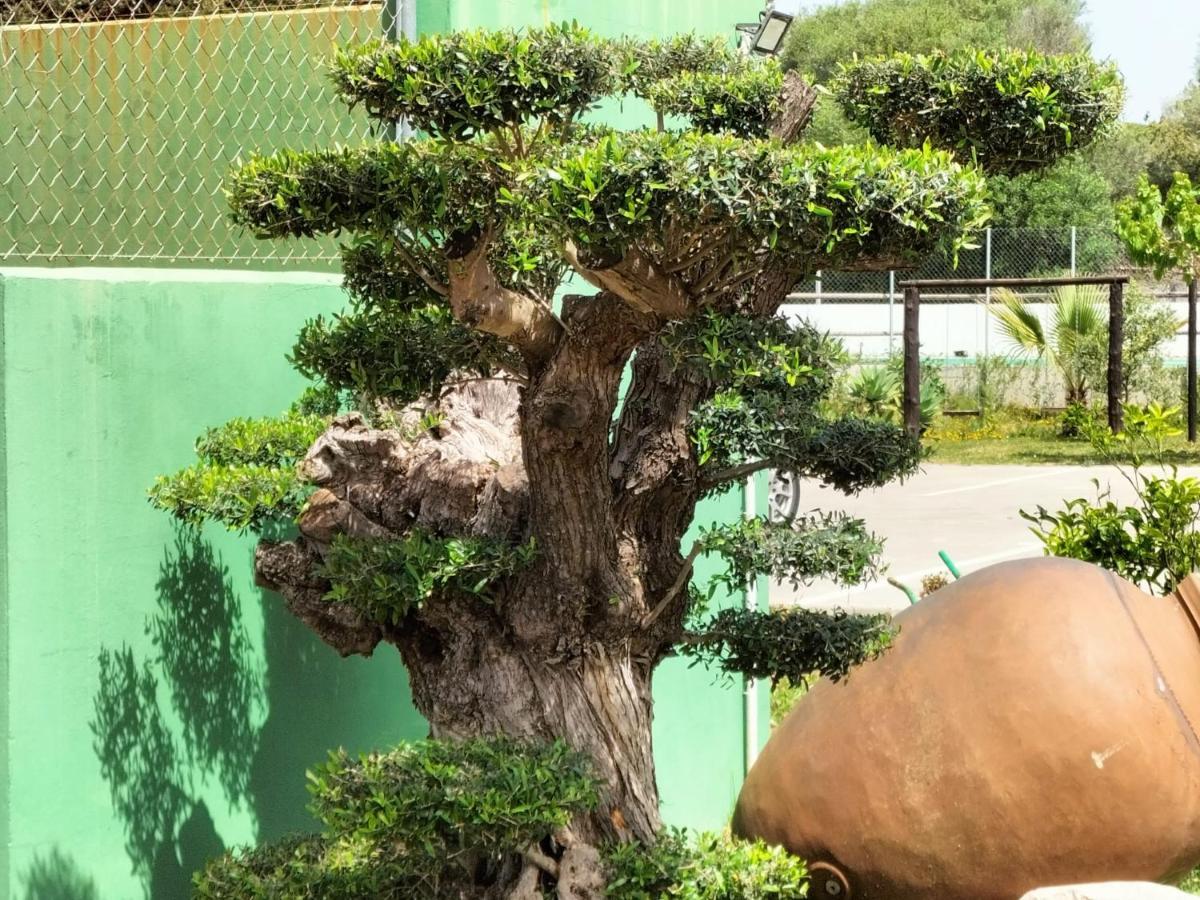 サオラ Casas Guemonゲストハウス エクステリア 写真